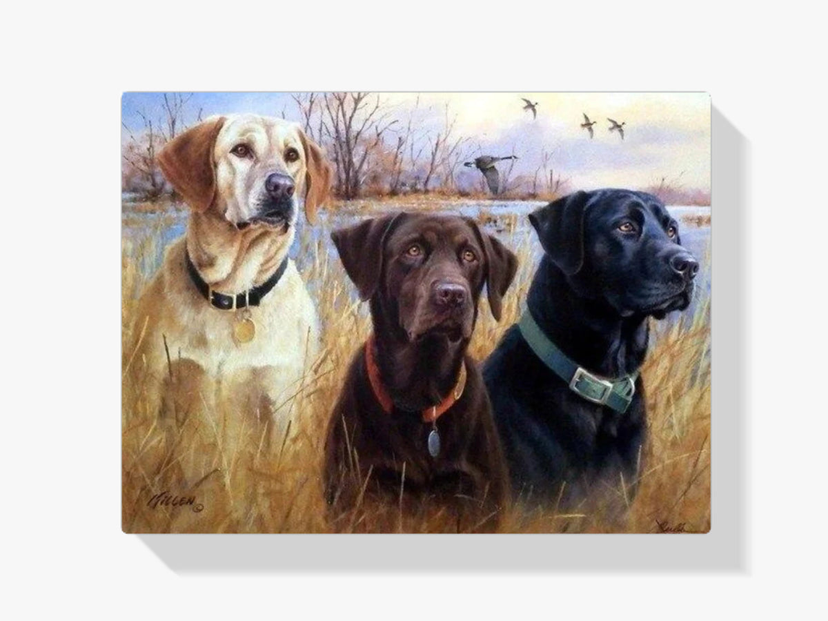 3 Labradore - Malen nach Zahlen