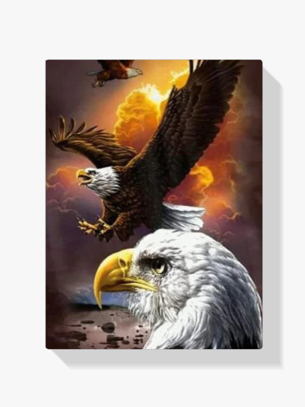 Adler - Malen nach Zahlen