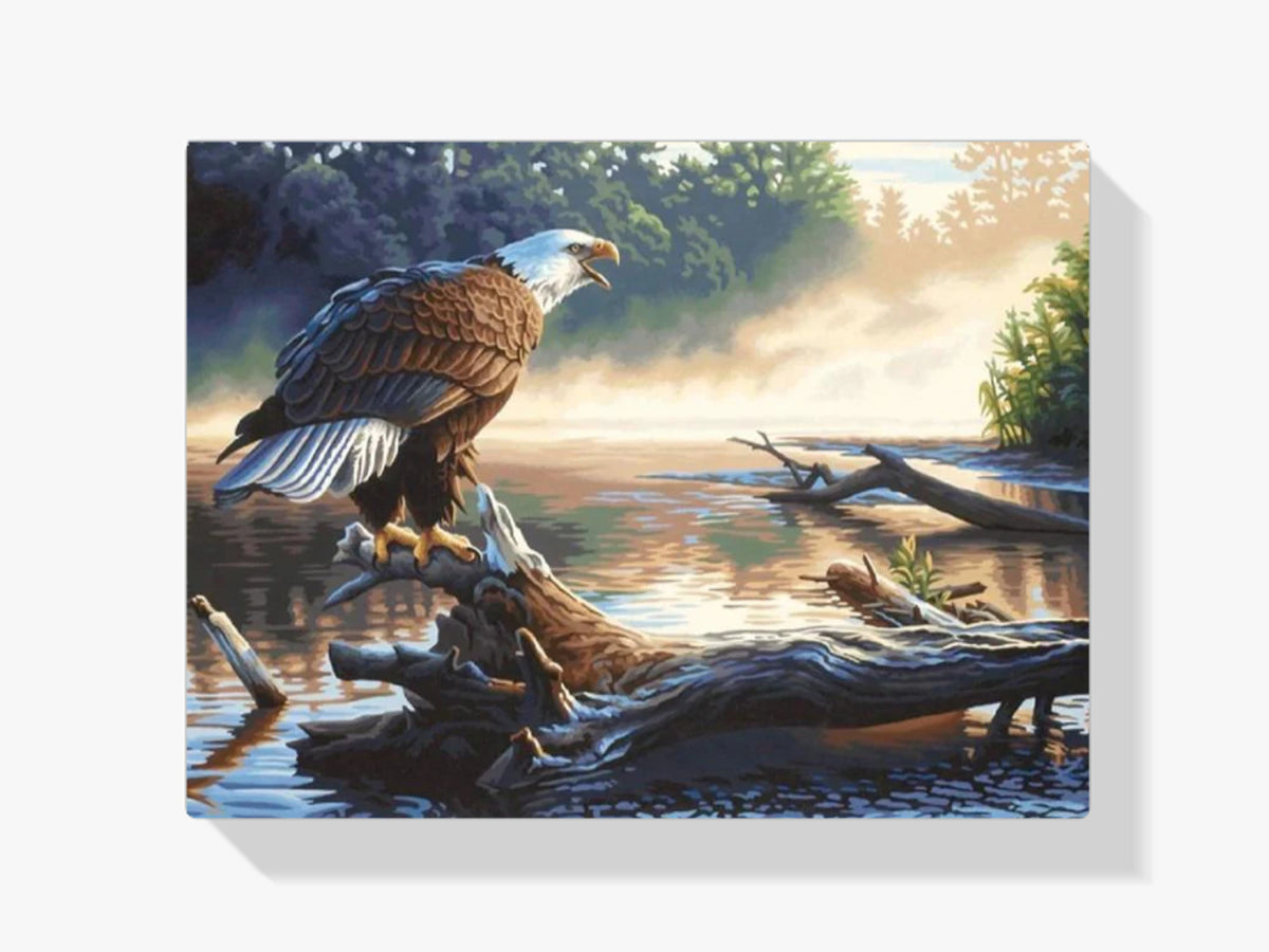 Adler - Malen nach Zahlen