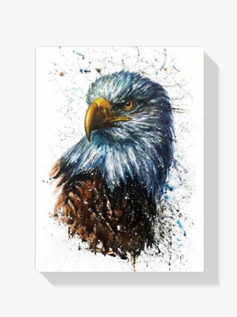 Adler - Malen nach Zahlen