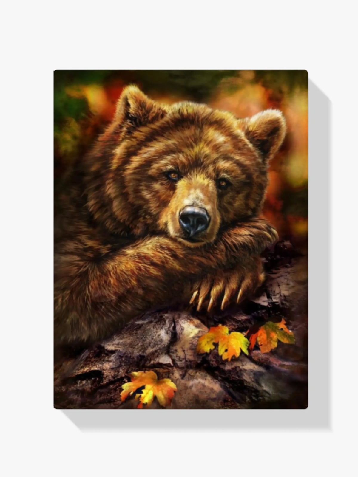 Brauner Bär - Malen nach Zahlen