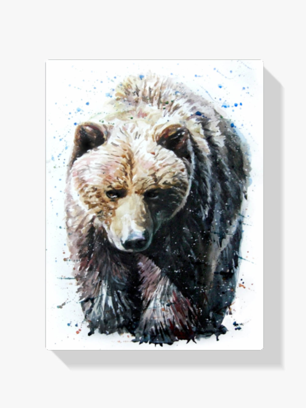 Brauner Bär - Malen nach Zahlen