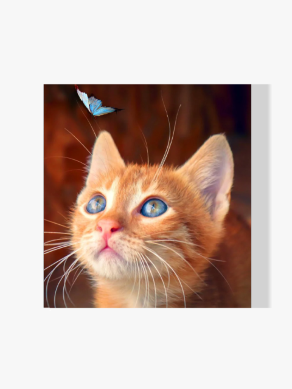 Das Kätzchen und der blaue Schmetterling - Malen nach Zahlen