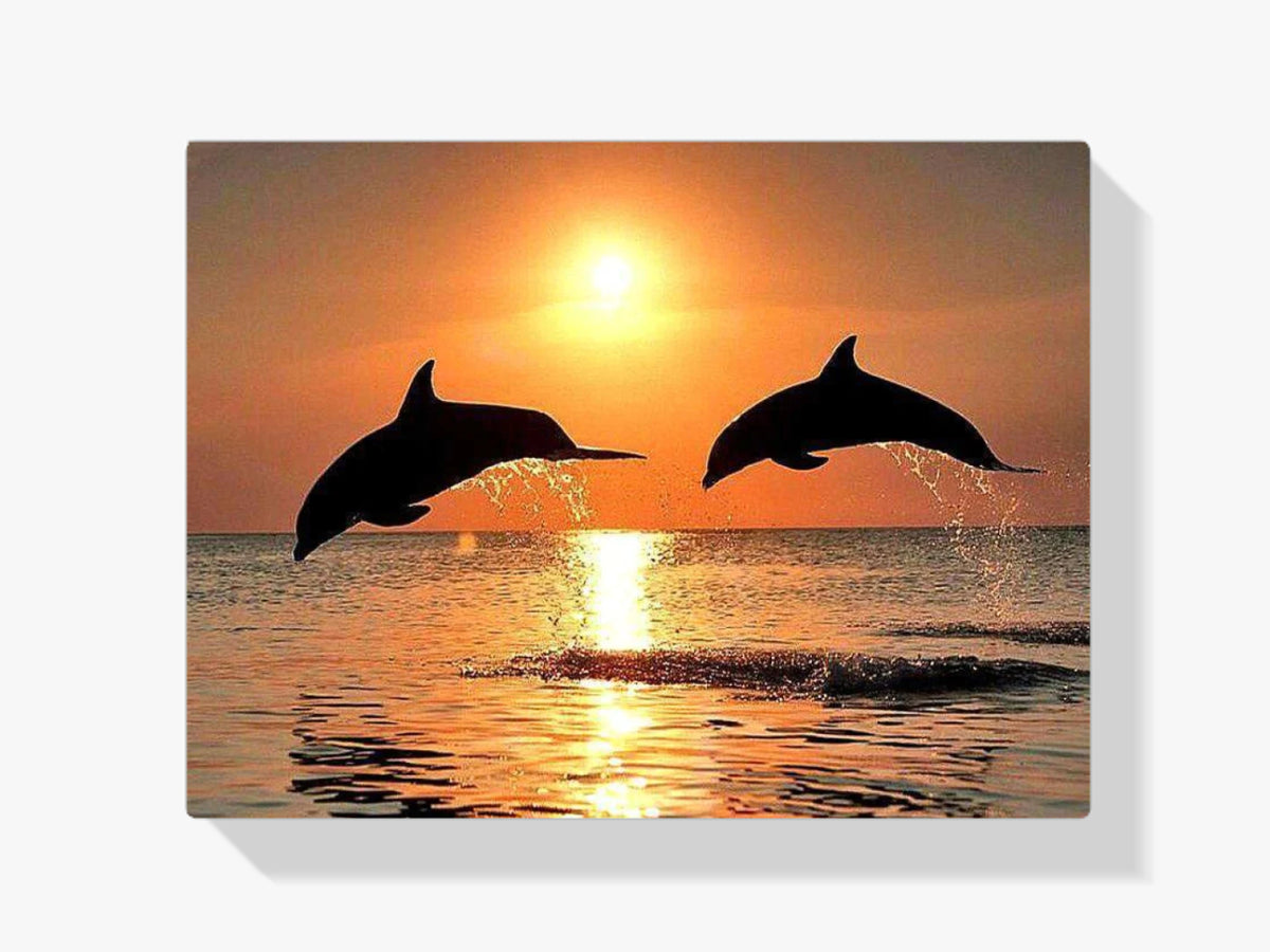 Delfine bei Sonnenuntergang - Malen nach Zahlen