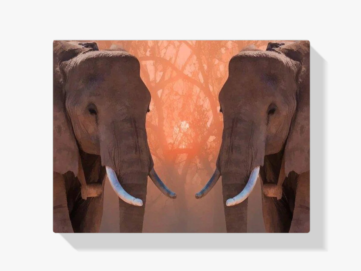 Die Elefantenzwillinge - Malen nach Zahlen