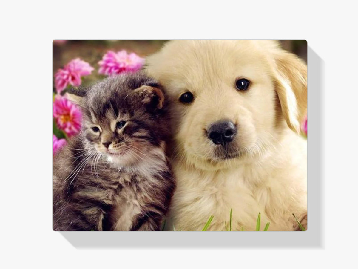 Die besten Freunde - Malen nach Zahlen