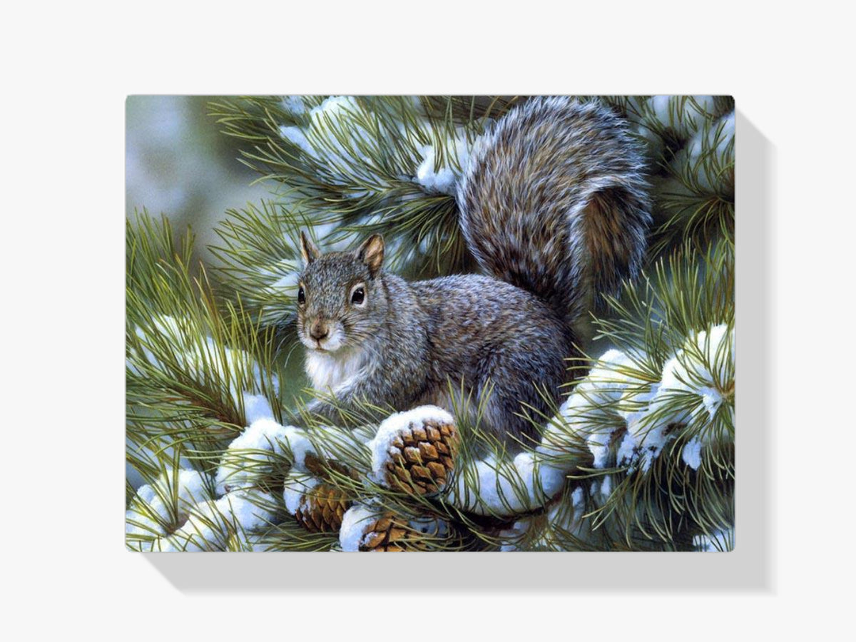 Eichhörnchen - Malen nach Zahlen