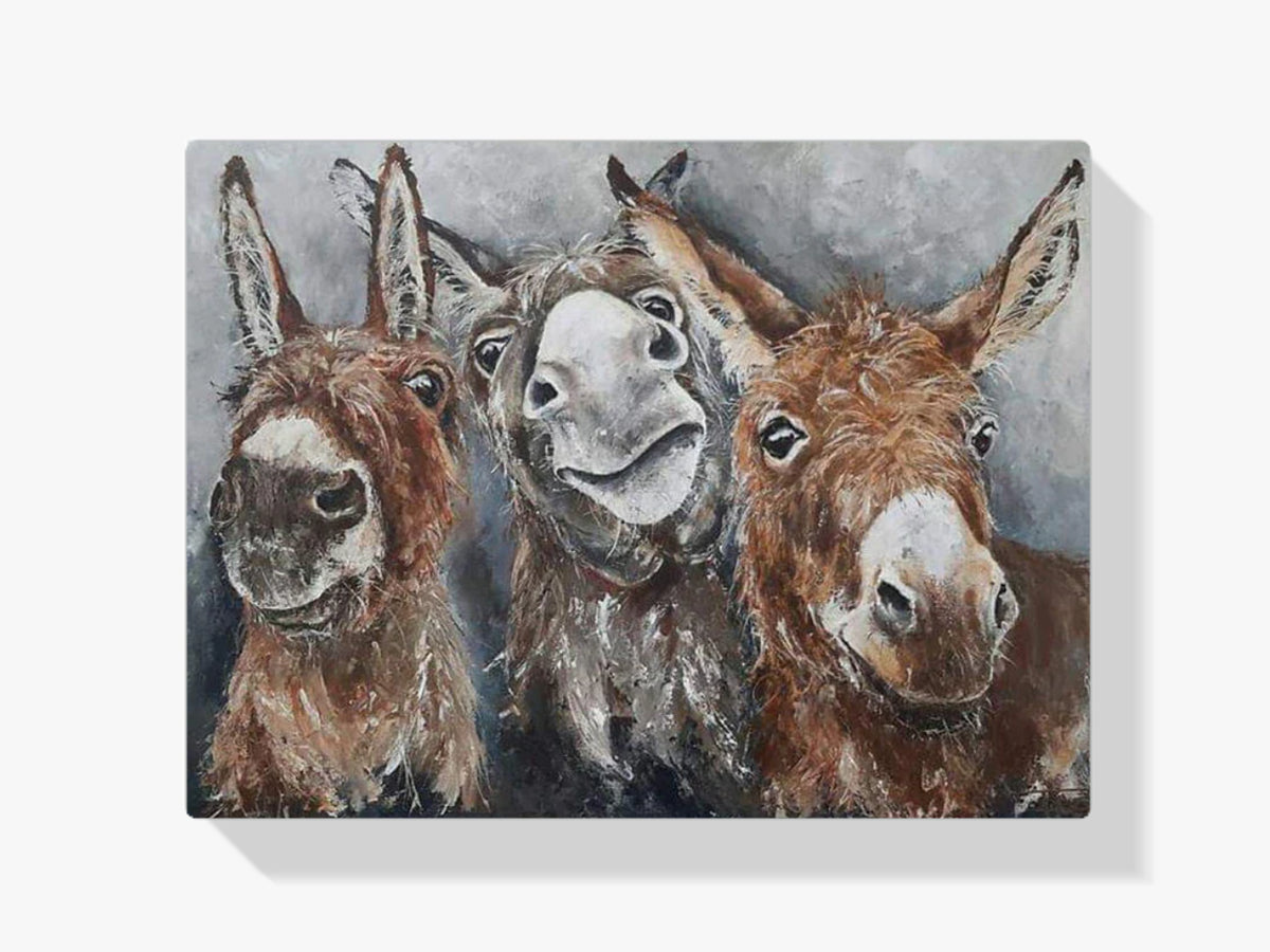 Esel - Malen nach Zahlen