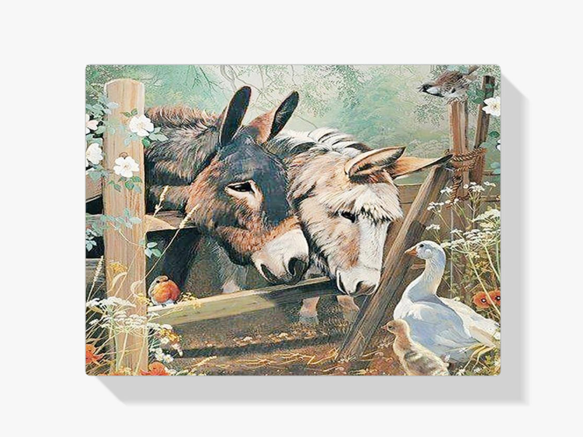 Esel - Malen nach Zahlen