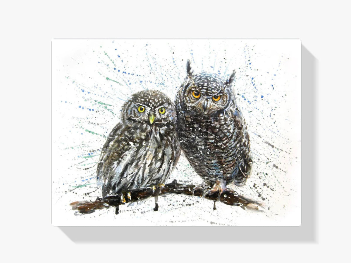 Eulen - Malen nach Zahlen