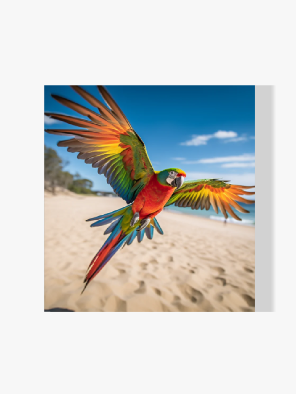 Farbenfroher Papagei - Malen nach Zahlen