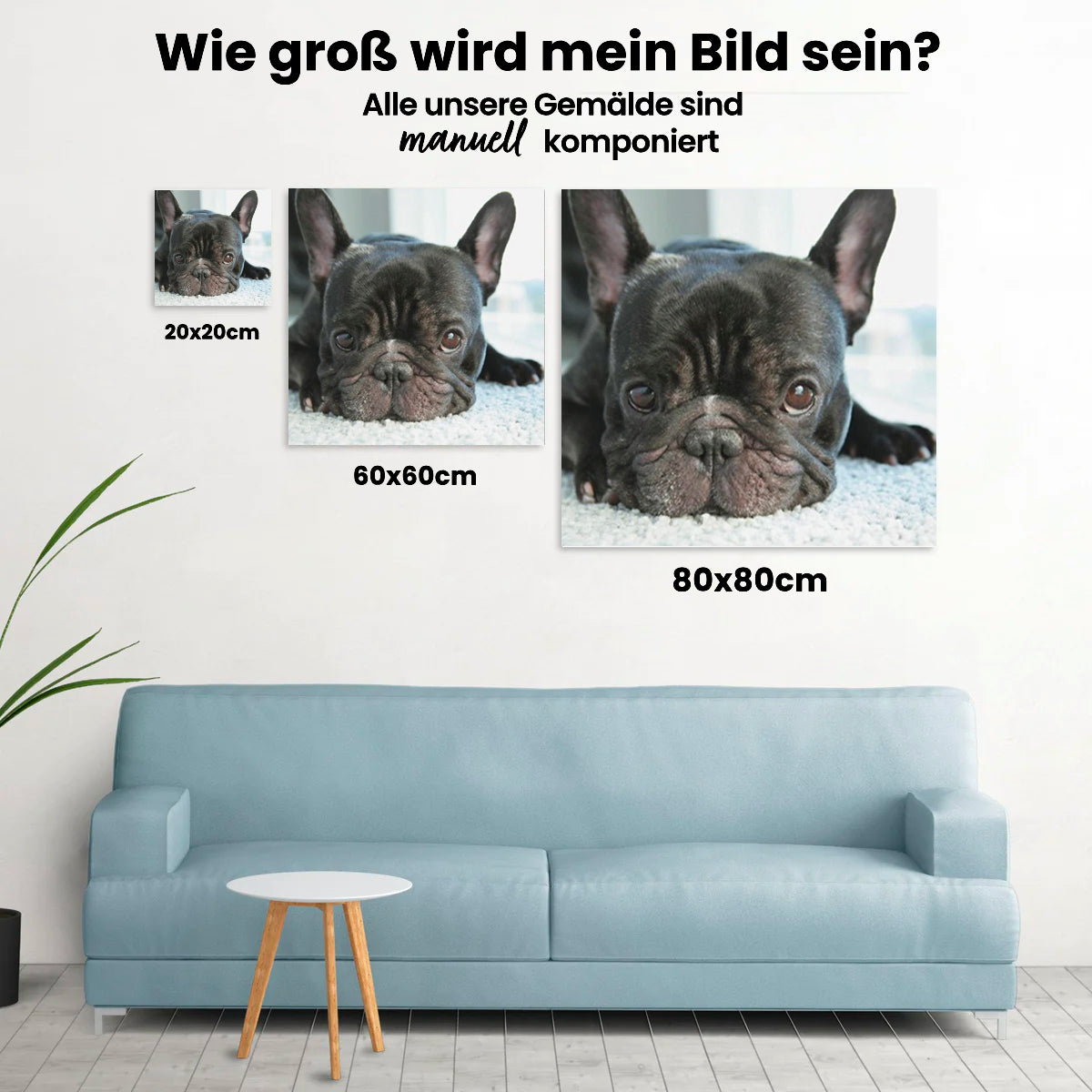 Französische Bulldogge - Malen nach Zahlen