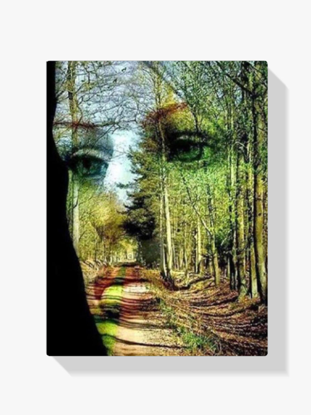 Gesicht - Wald - Malen nach Zahlen