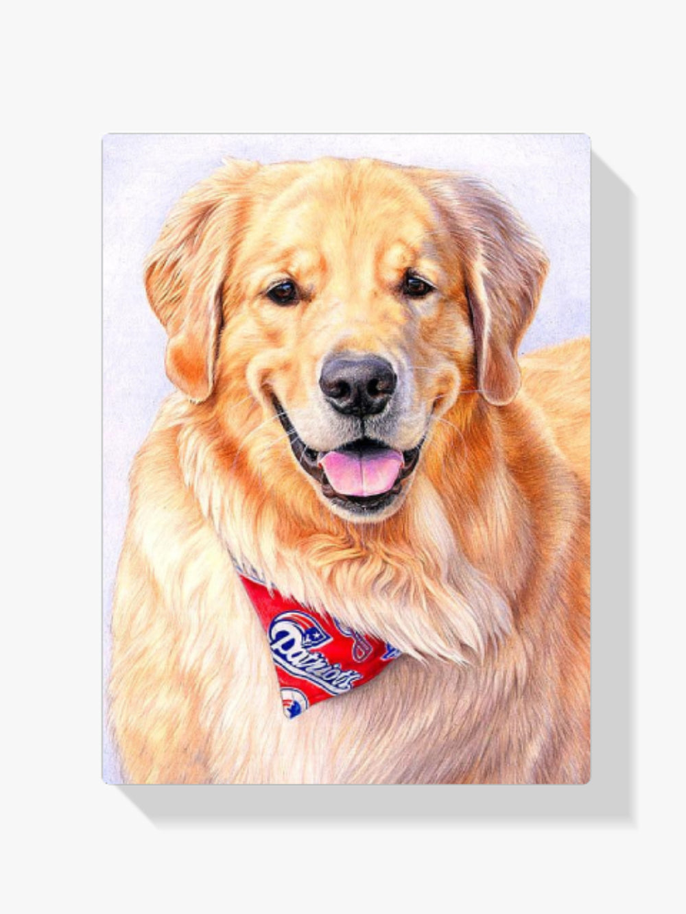 Golden Retriever - Malen nach Zahlen