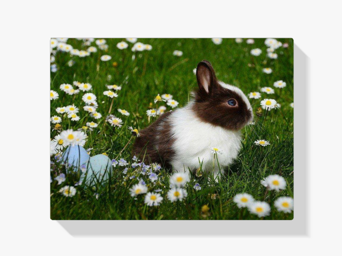 Hase mit Ostereiern - Malen nach Zahlen