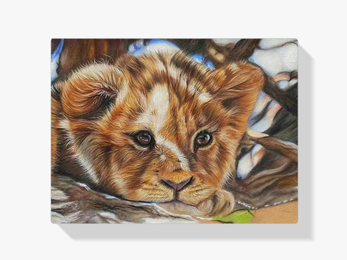 Junglöwe - Malen nach Zahlen