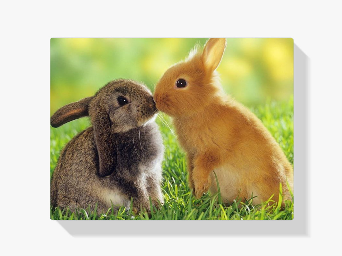 Kaninchen - Malen nach Zahlen