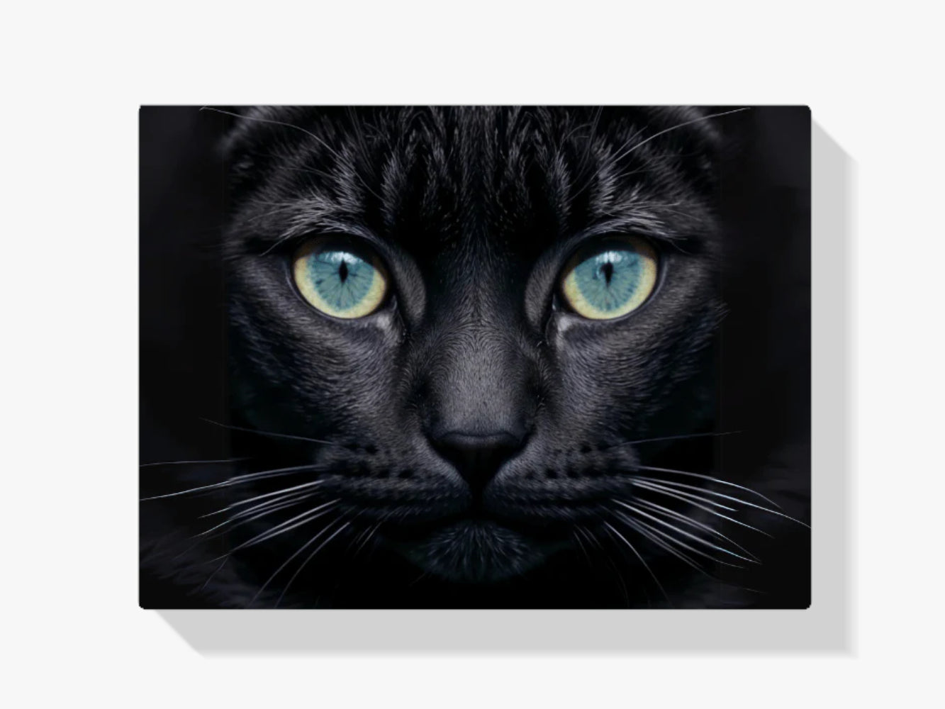 Katze - Malen nach Zahlen