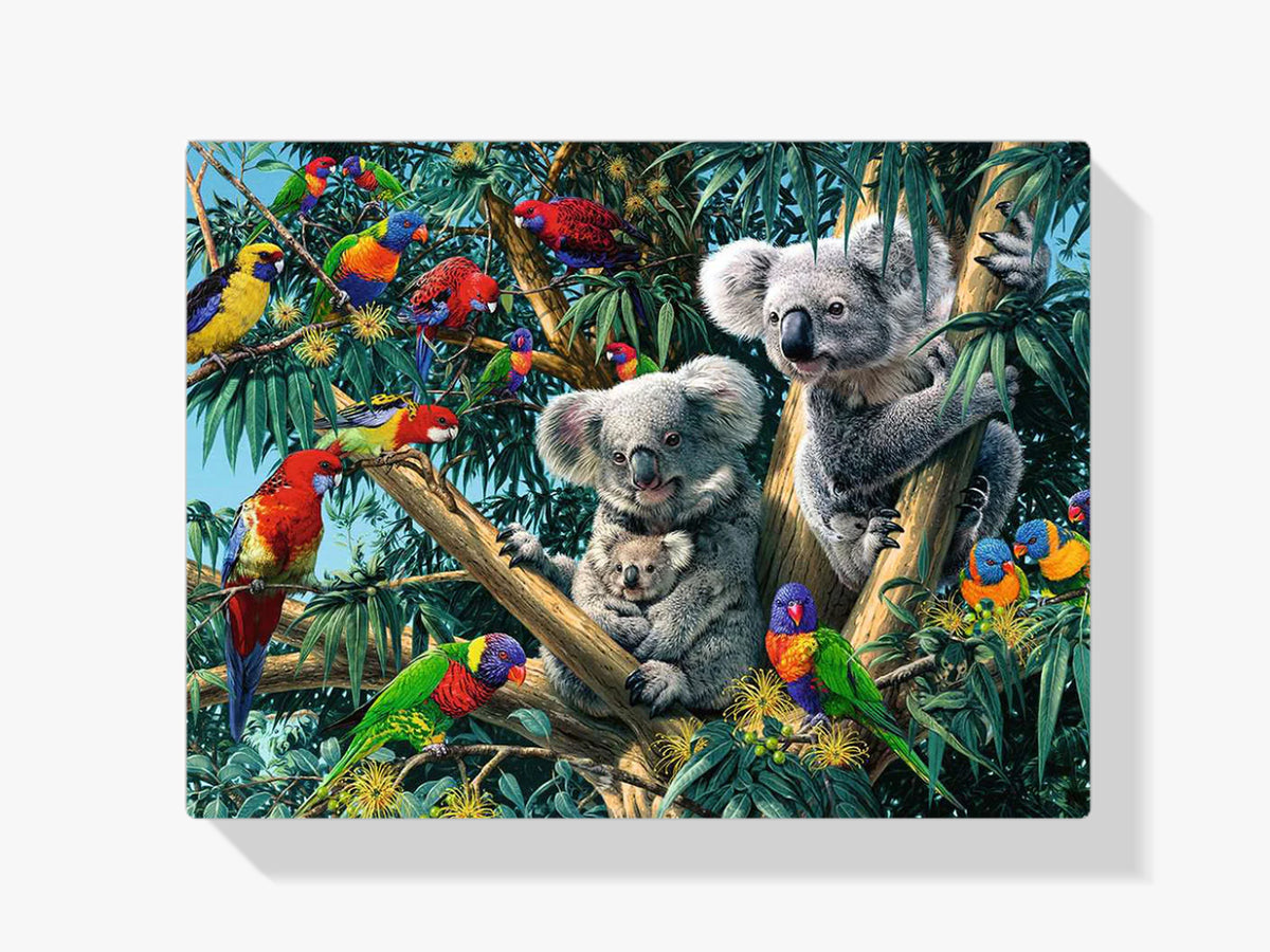 Koala - Malen nach Zahlen