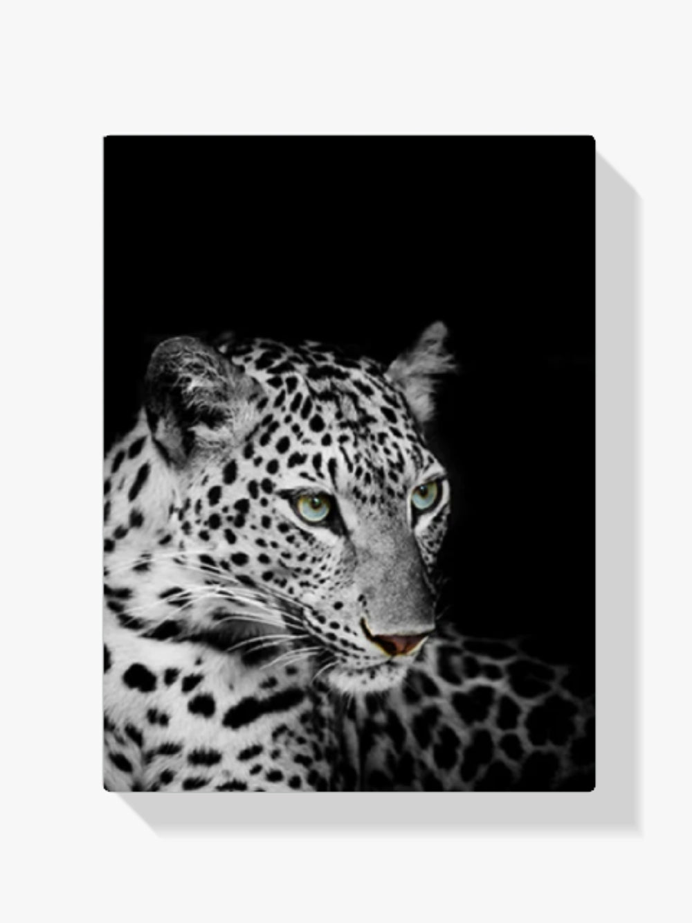 Leopard - Malen nach Zahlen