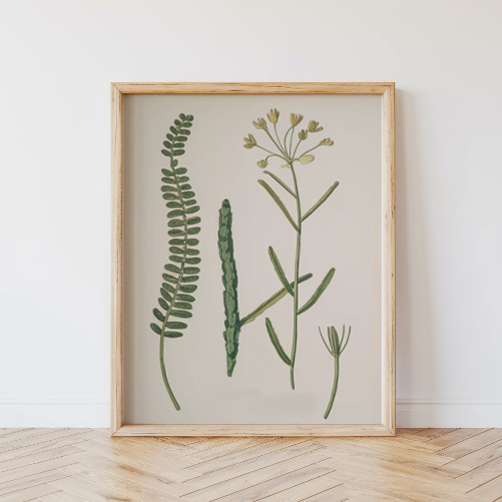 Måla efter siffror - 6 minimålningar | Botaniska växter 2.0 Edition-set