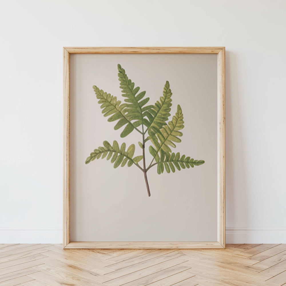 Måla efter siffror - 6 minimålningar | Botaniska växter 2.0 Edition-set
