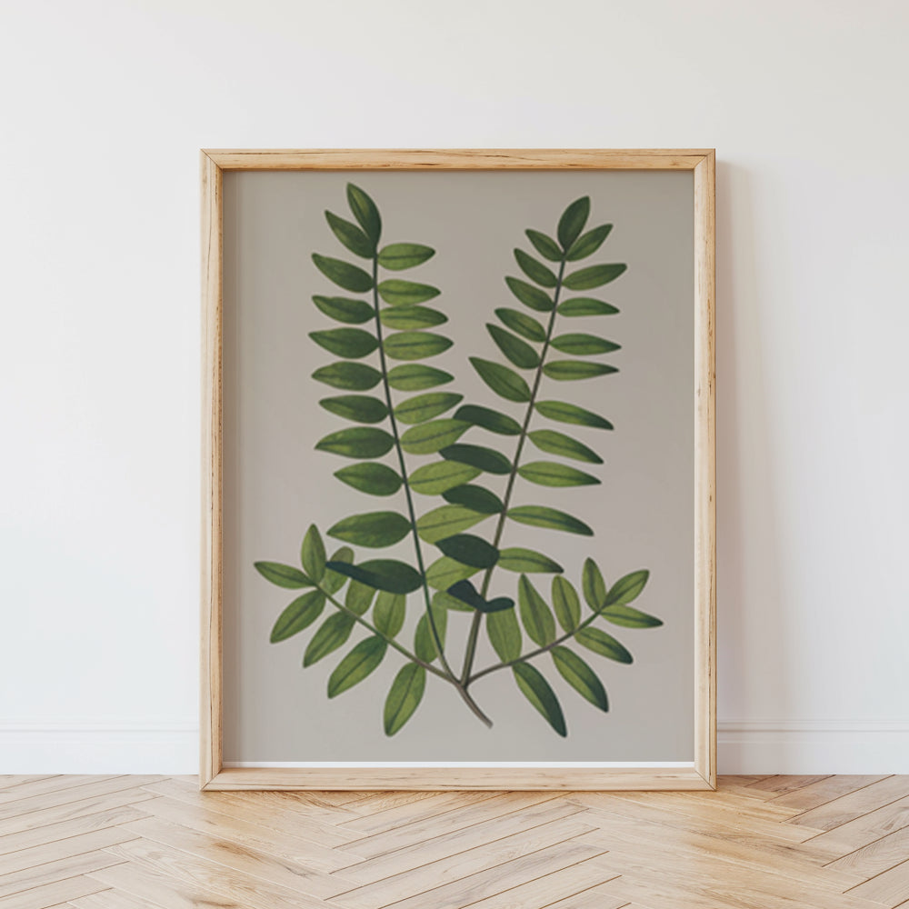 Måla efter siffror - 6 minimålningar | Botaniska växter 2.0 Edition-set