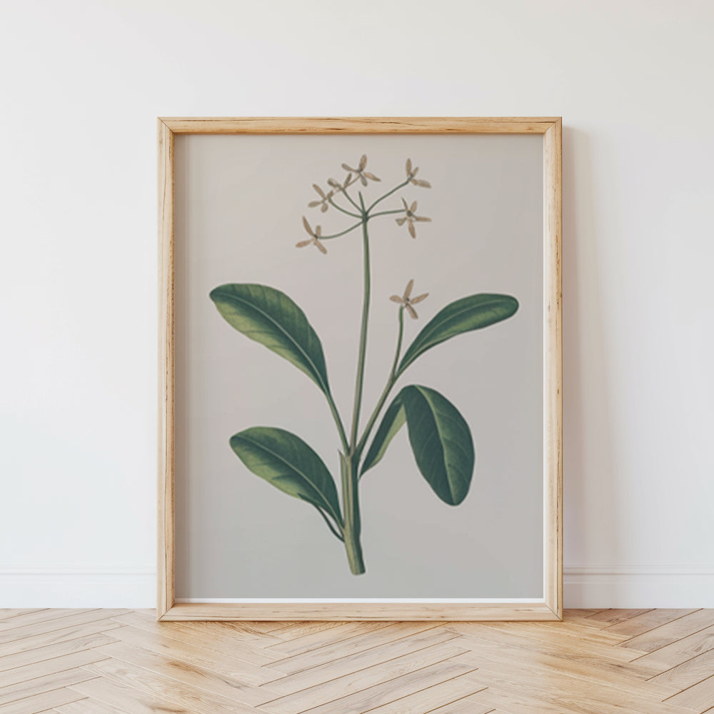 Måla efter siffror - 6 minimålningar | Botaniska växter 2.0 Edition-set