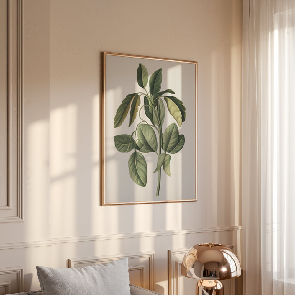Måla efter siffror - 6 minimålningar | Botaniska växter-utgåva