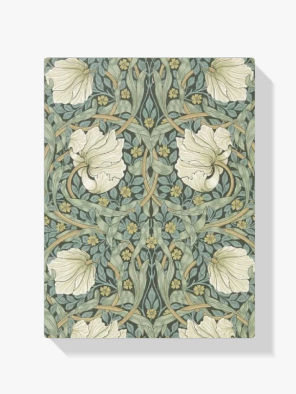 Malen nach Zahlen - Pimpernell