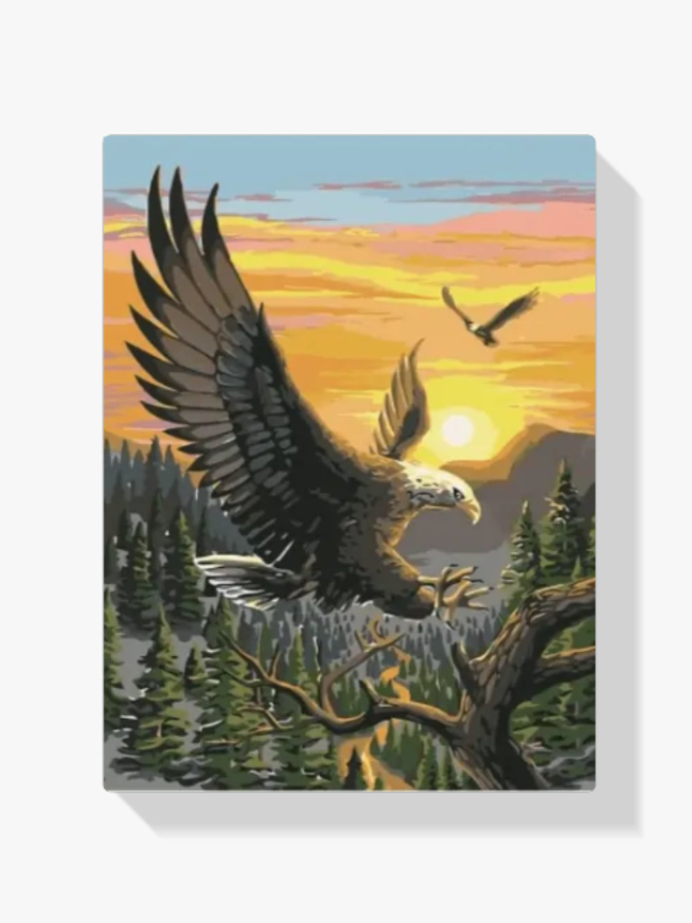 Malen nach Zahlen – Adler