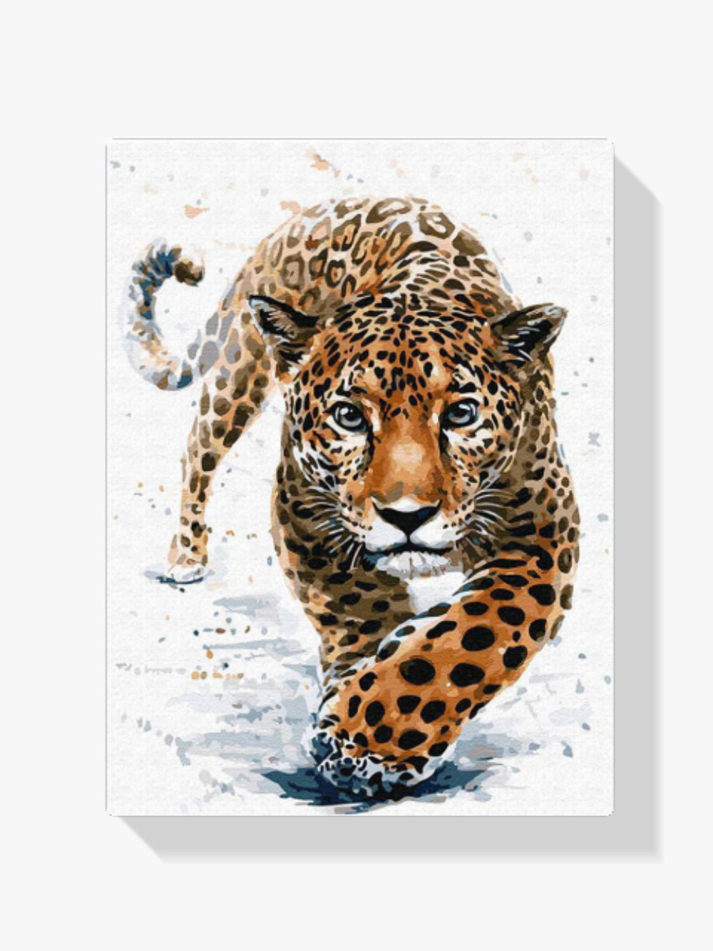 Malen nach Zahlen – Auf der Jagd nach Leoparden