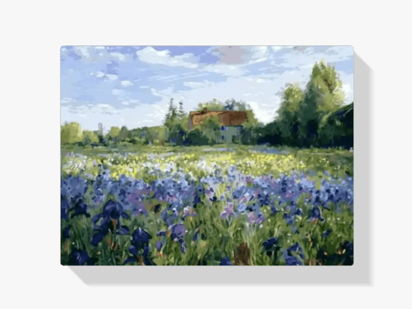 Malen nach Zahlen – Blaues Blumenfeld