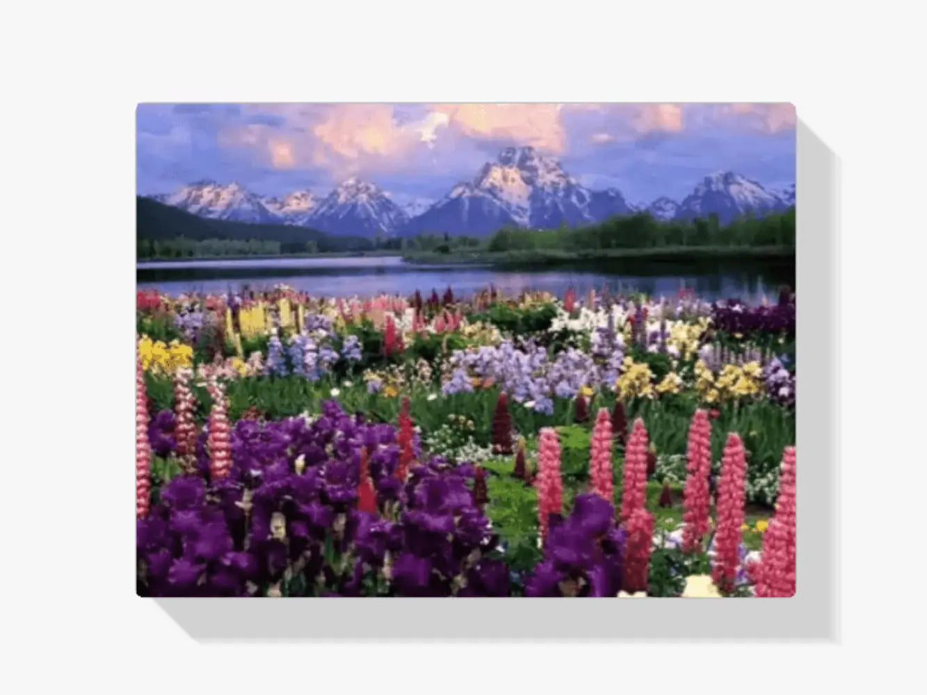 Malen nach Zahlen – Blumen im Feld