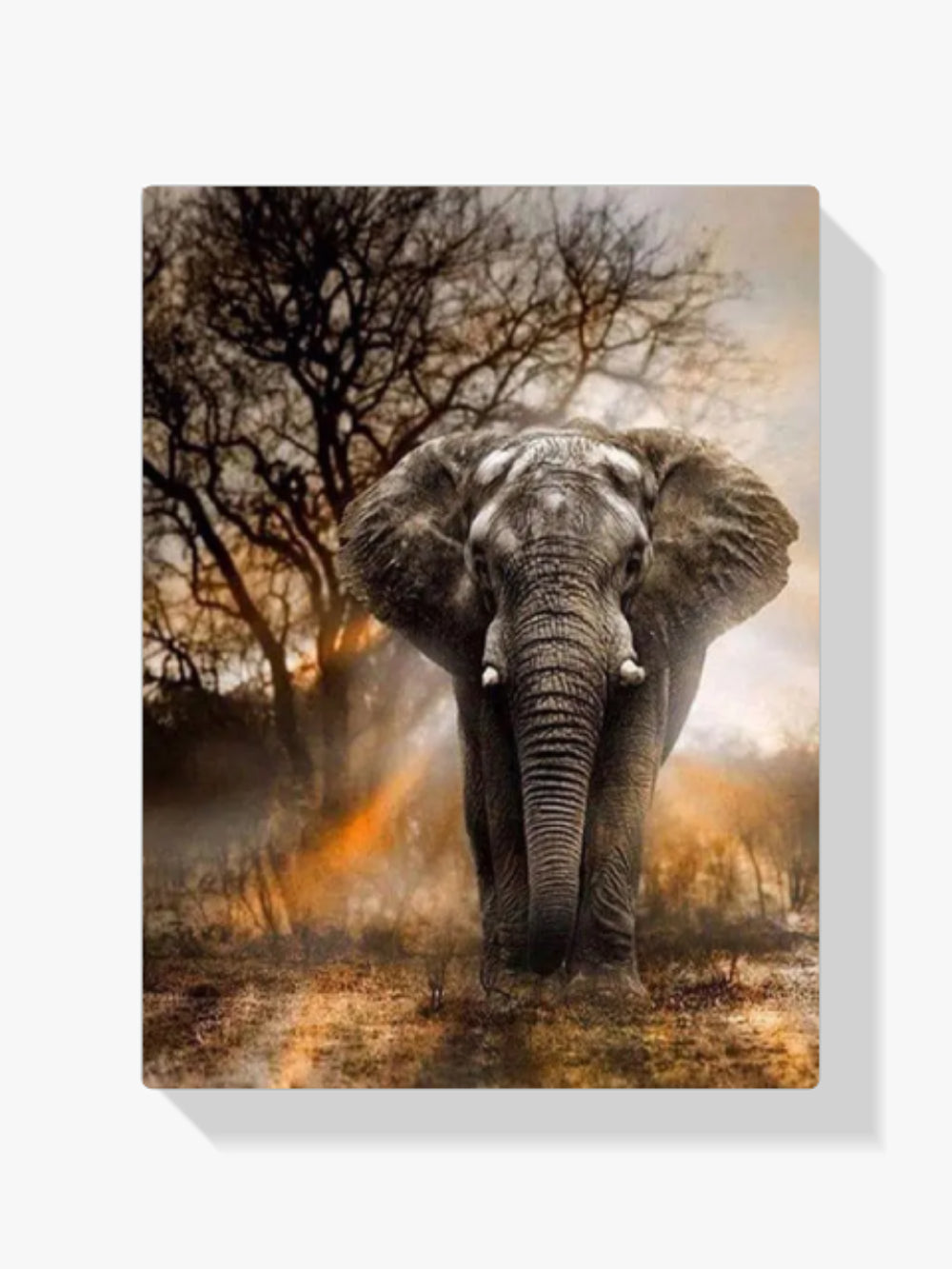 Malen nach Zahlen – Elefant mit sonnenuntergang