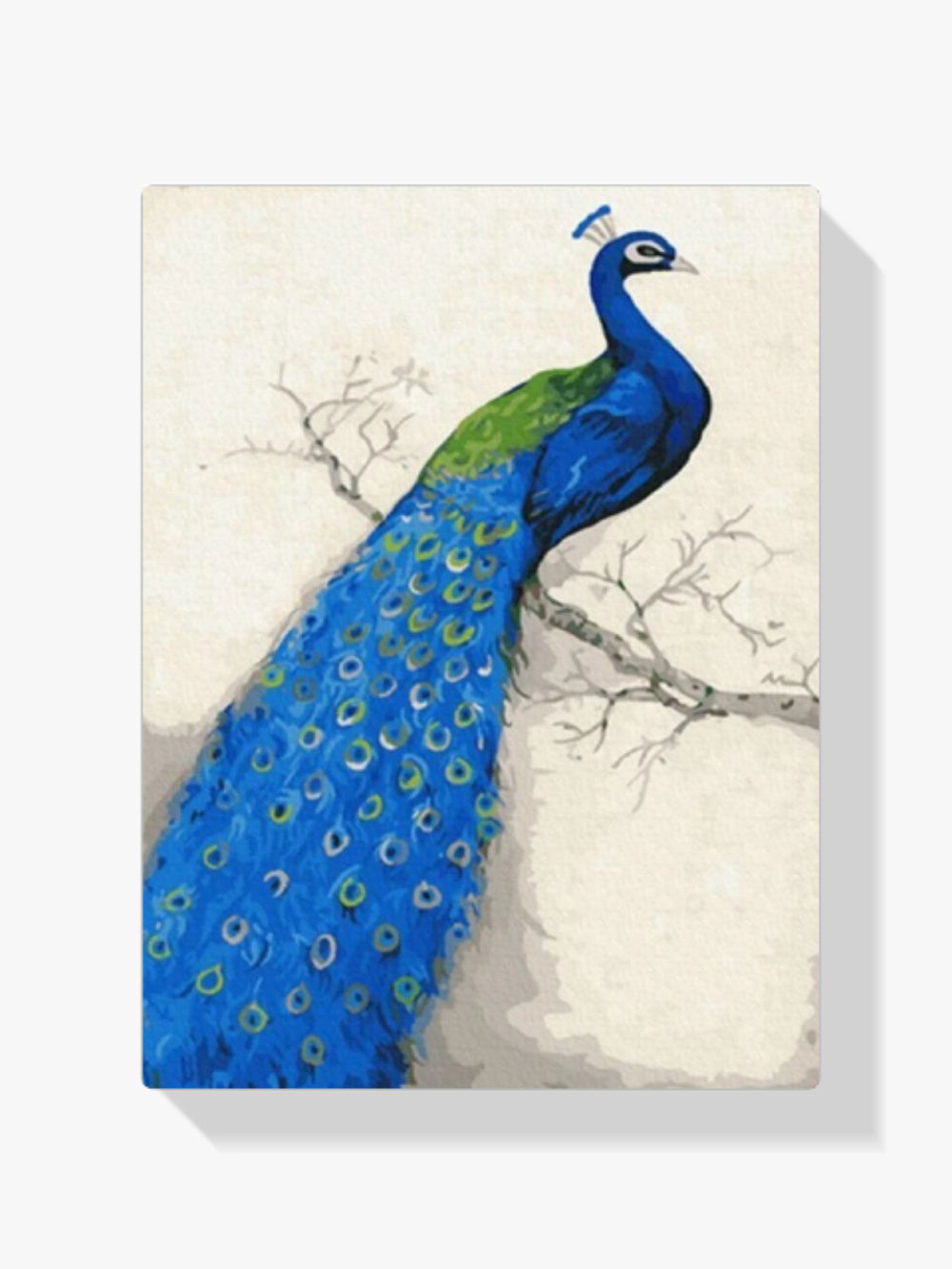 Malen nach Zahlen – Grandioser Pfau