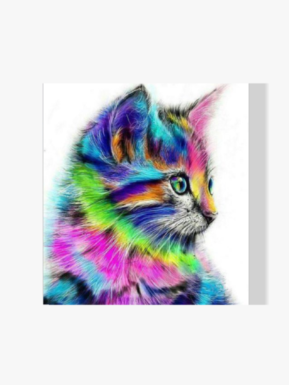 Malen nach Zahlen – Kätzchen