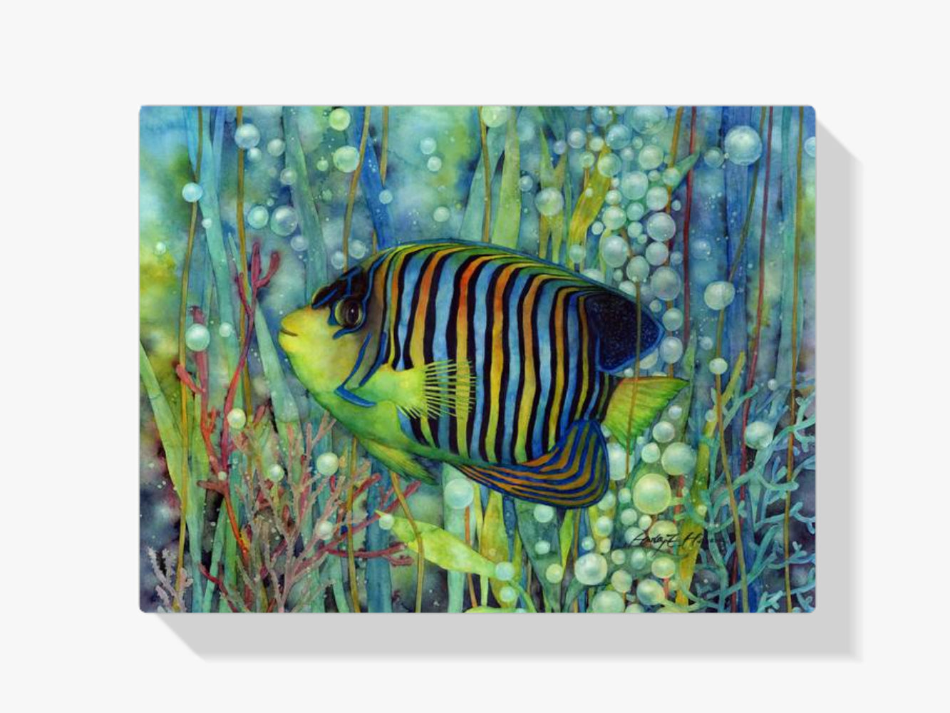 Malen nach Zahlen – Kaiserfisch