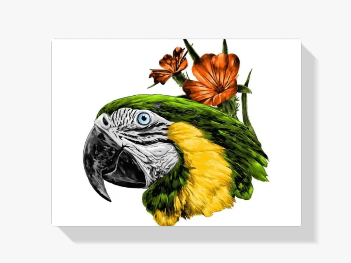 Malen nach Zahlen – Parrot Close