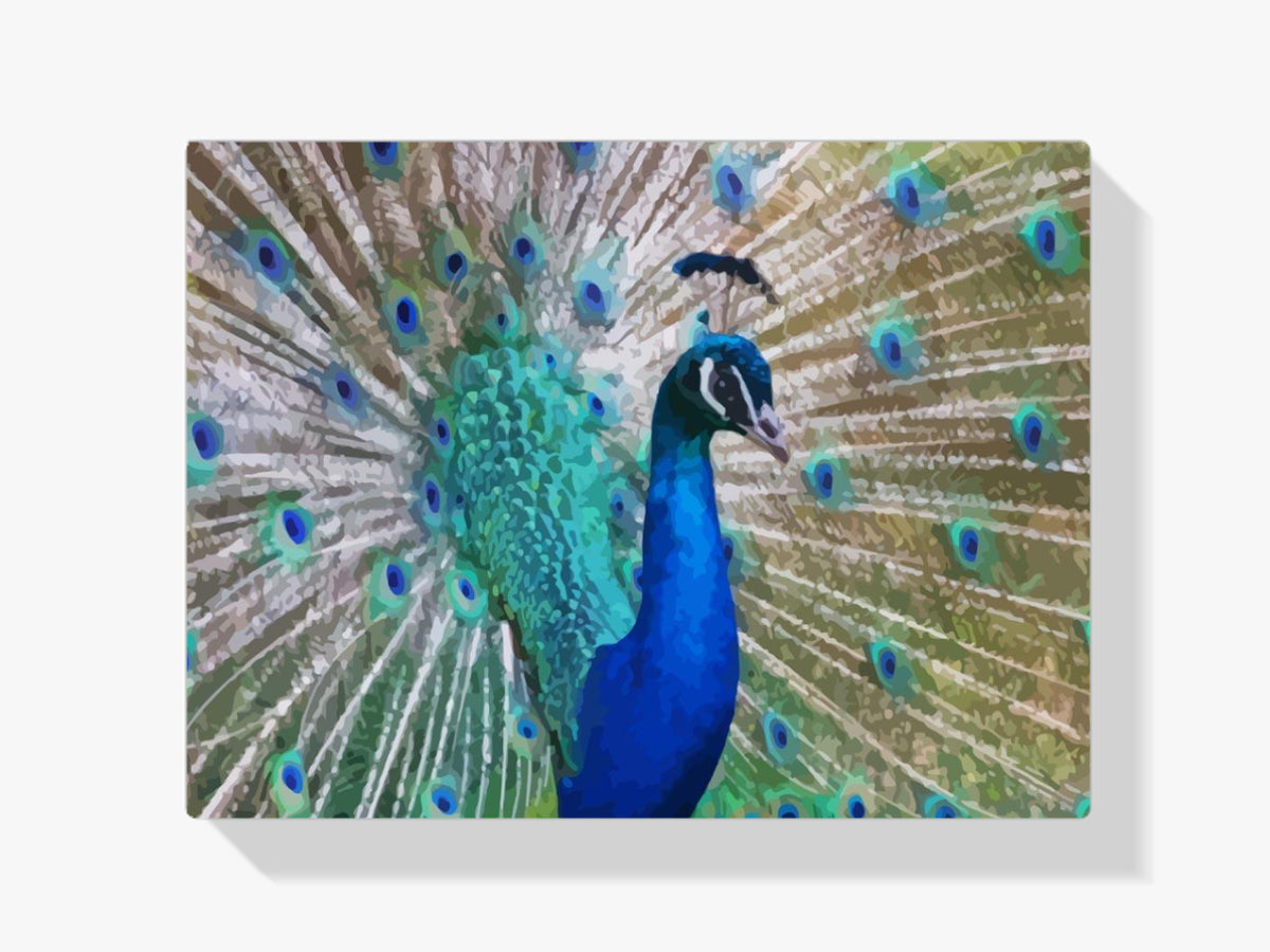 Malen nach Zahlen – Pfau aus der Nähe