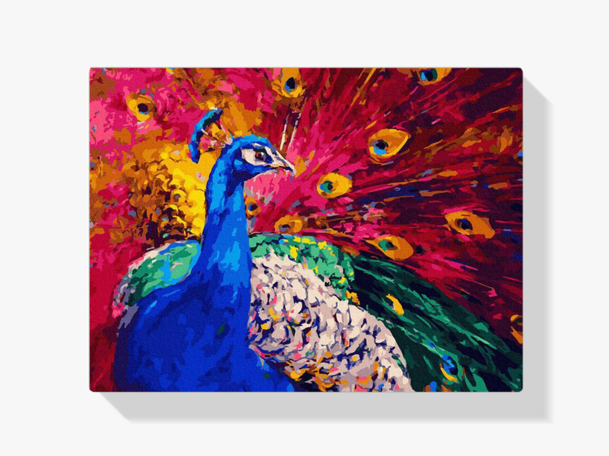 Malen nach Zahlen – Regenbogenpfau