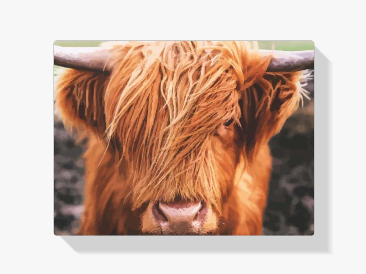 Malen nach Zahlen – Schottische Highlander