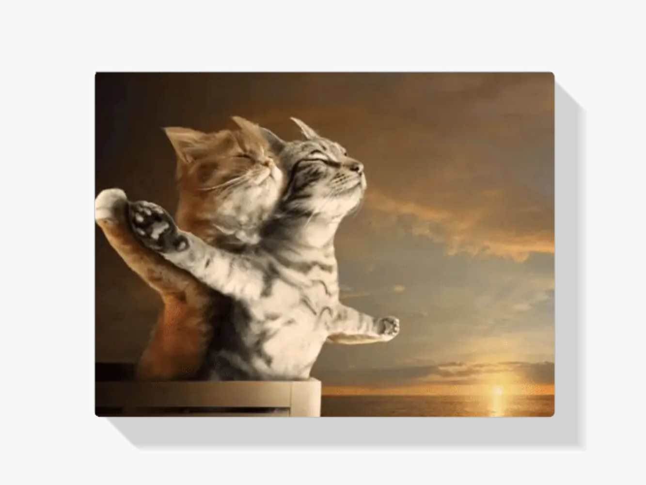 Malen nach Zahlen – Zwei Katzen Titanic