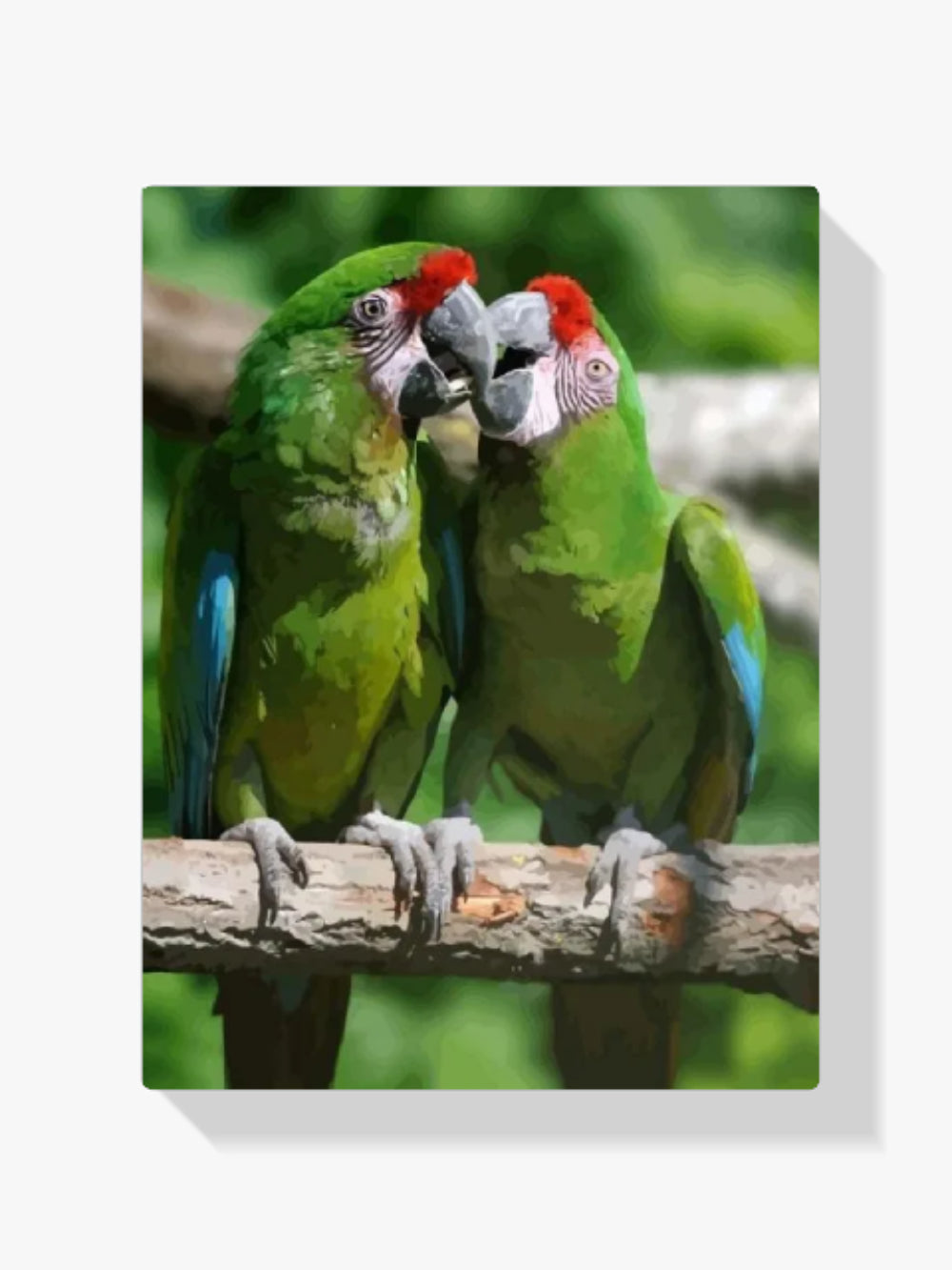 Malen nach Zahlen – Zwei Papageien