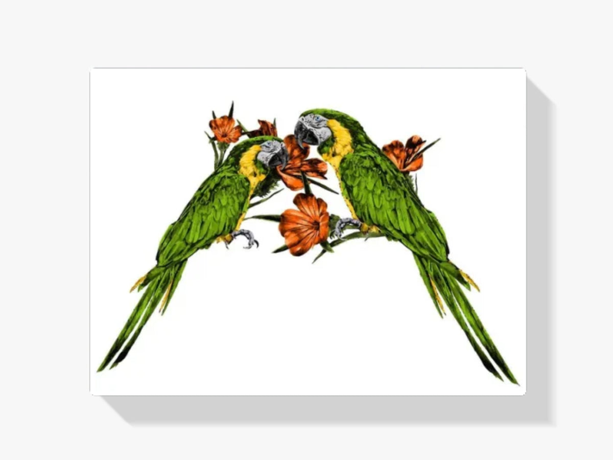 Malen nach Zahlen – Zwei Papageien auf dem Ast