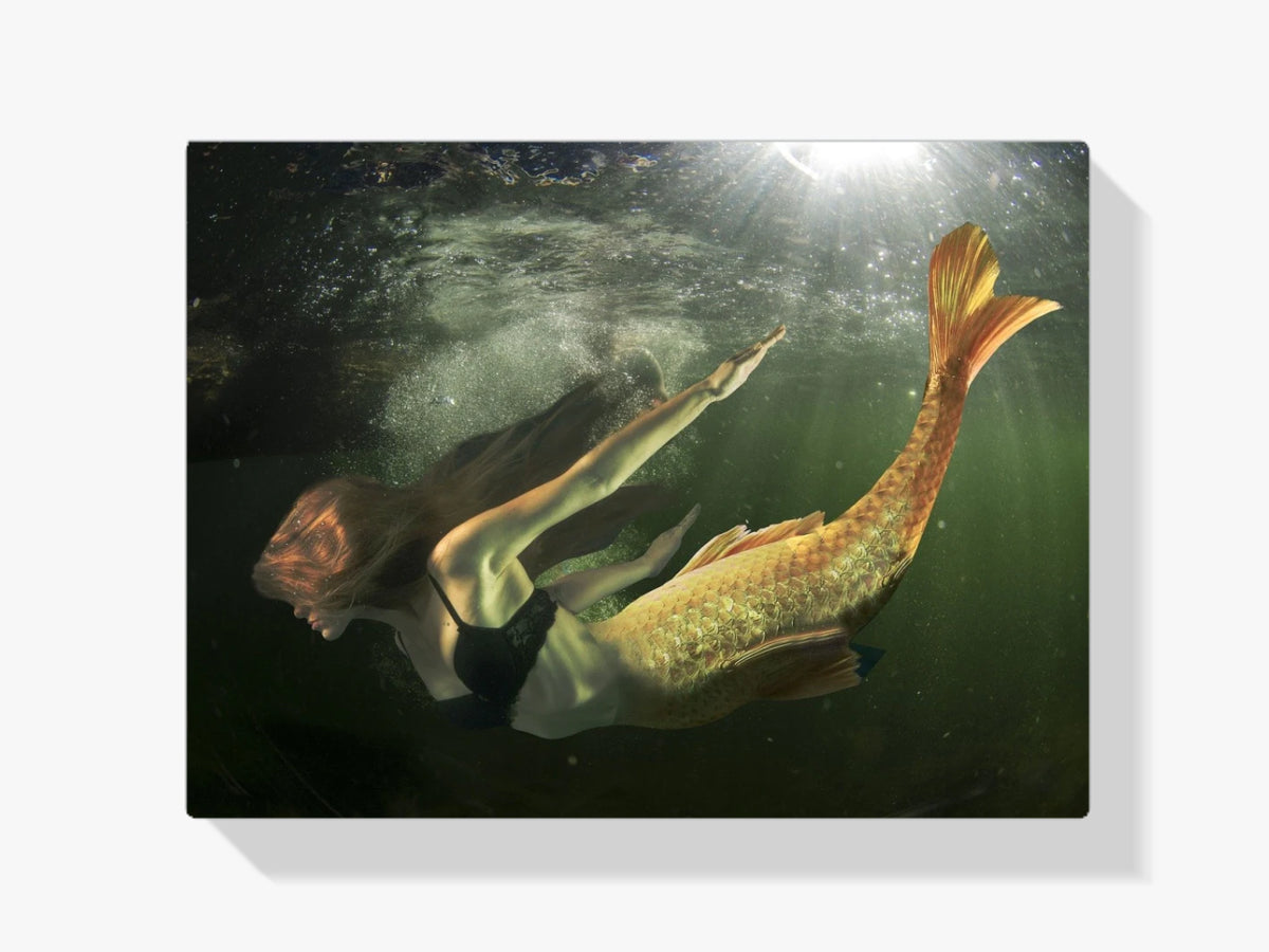 Meerjungfrau - Malen nach Zahlen