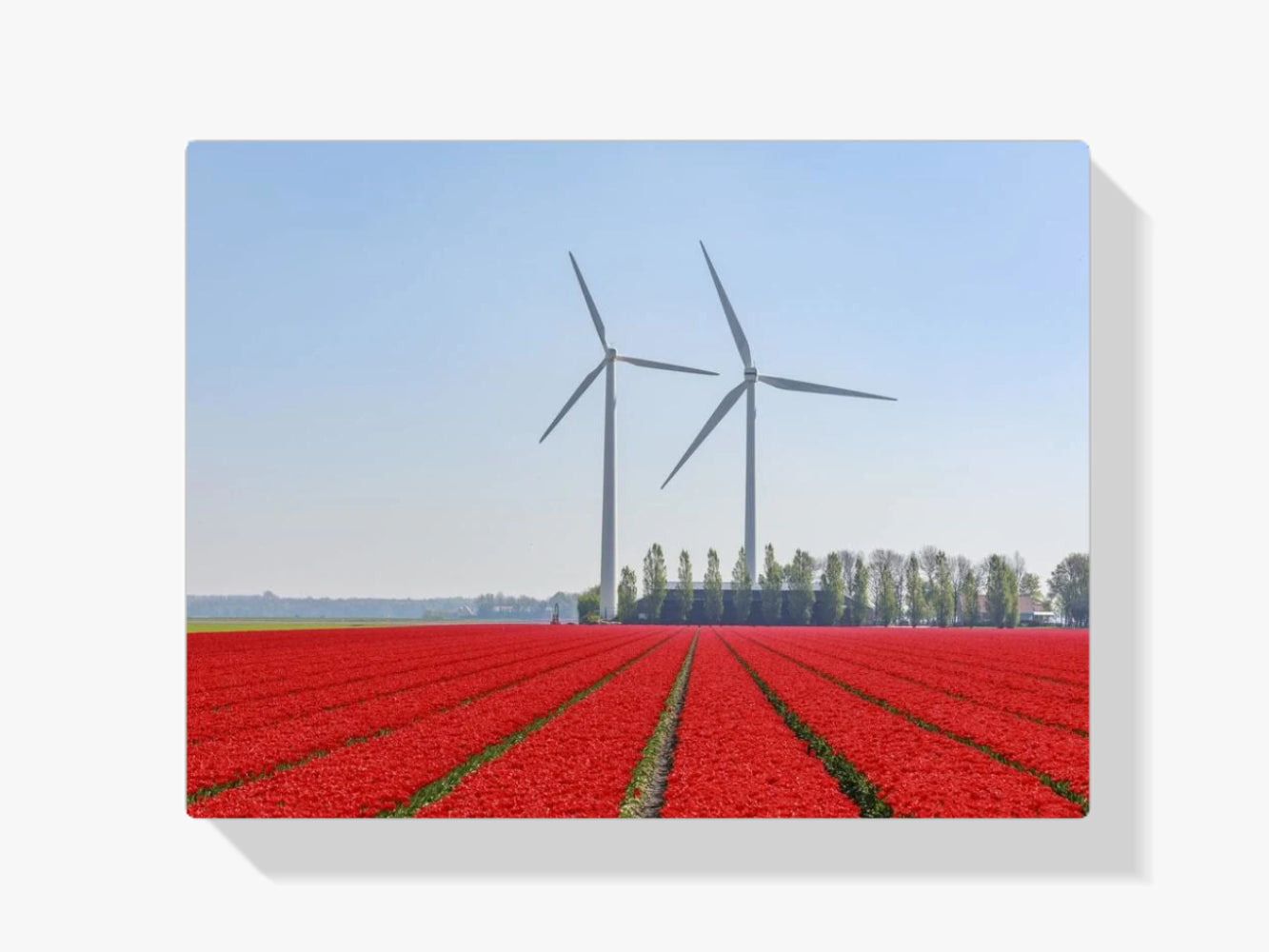 Niederländischer Sommer - Malen nach Zahlen