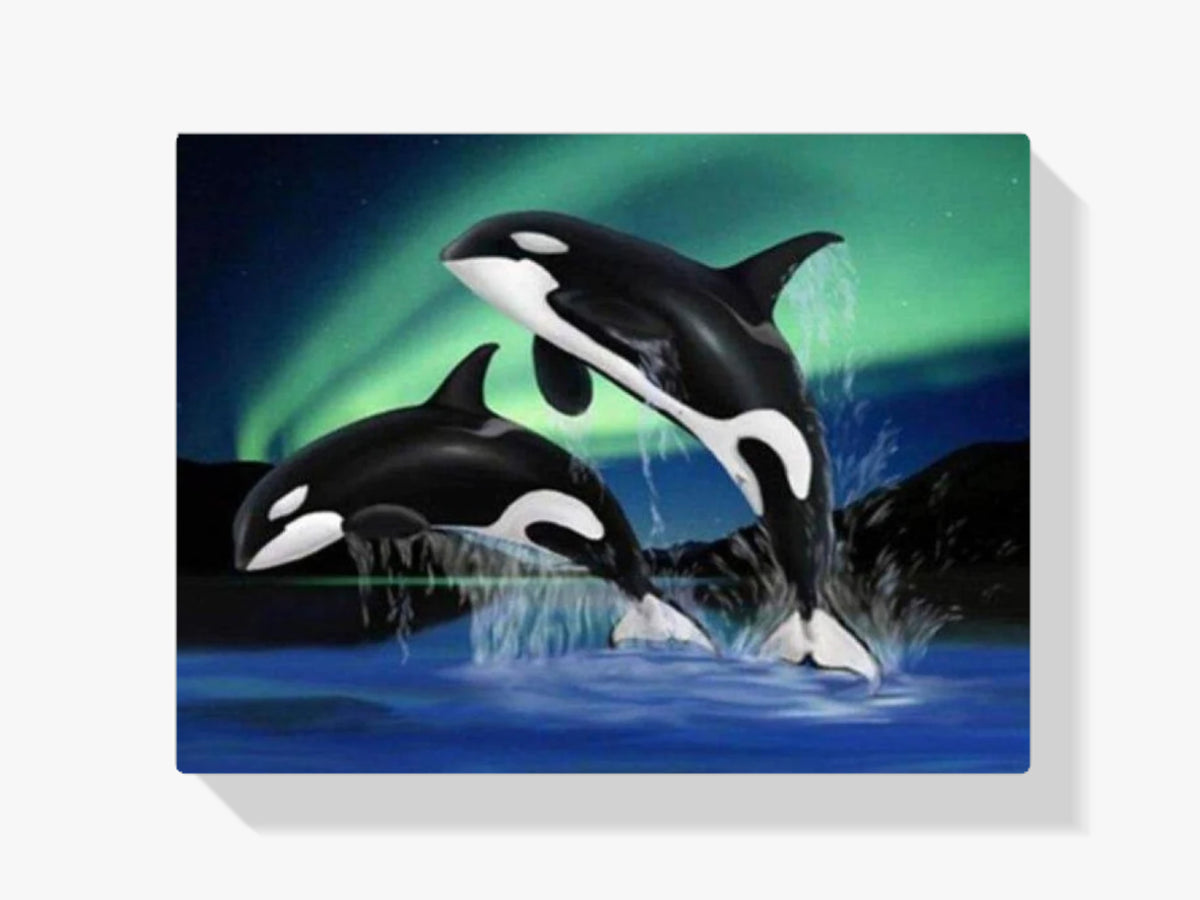 Orca bei Nordlicht - Malen nach Zahlen