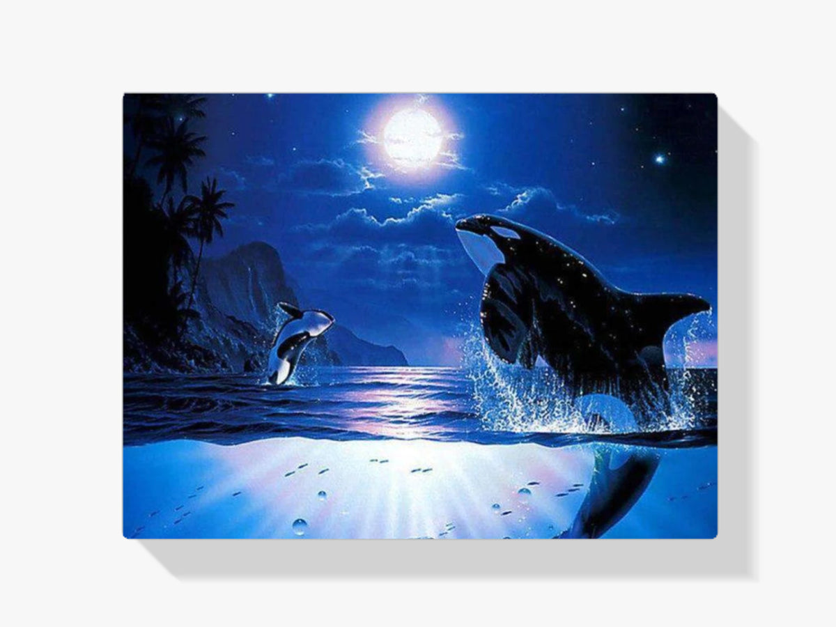 Orcas bei Vollmond - Malen nach Zahlen