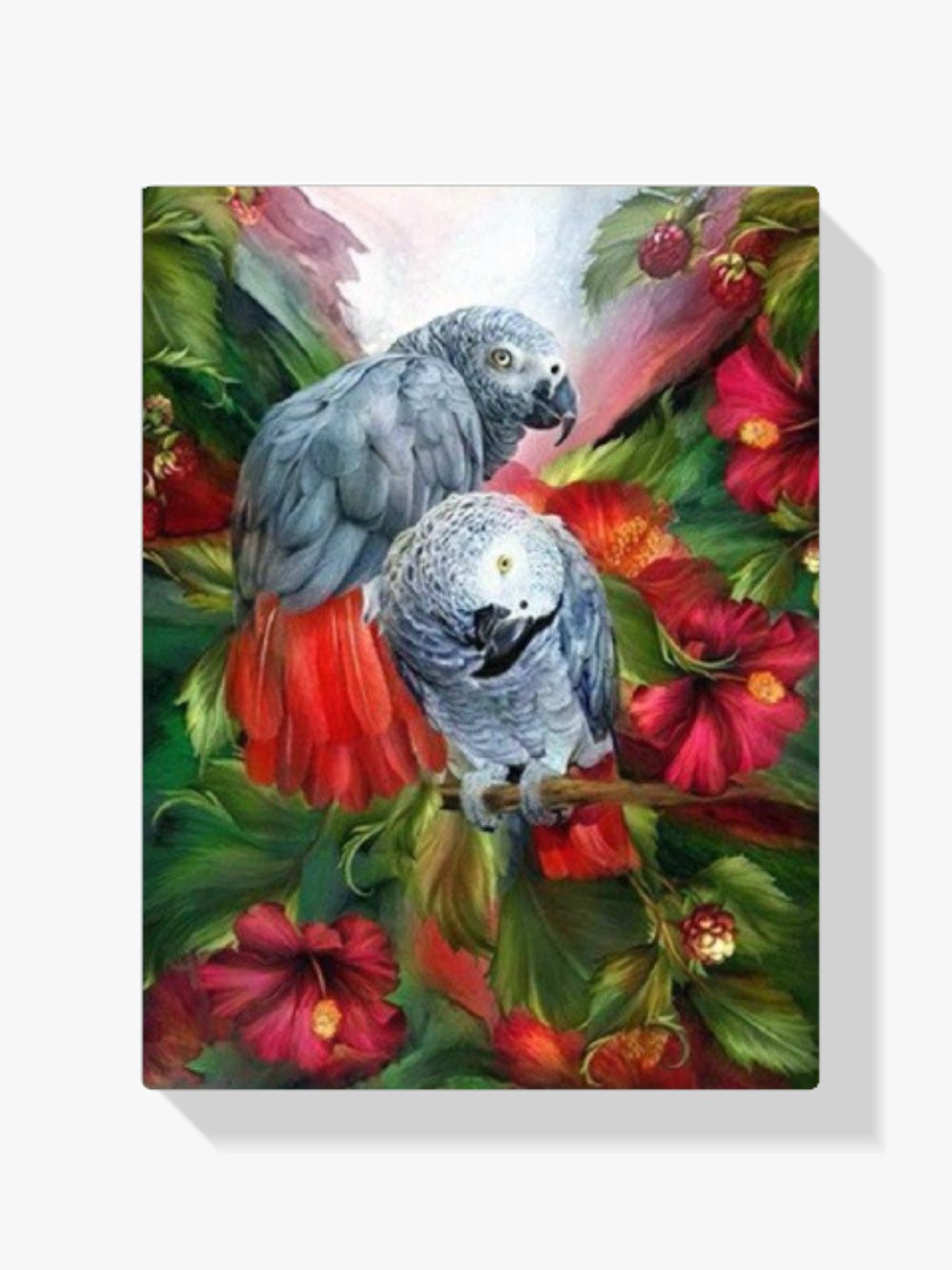 Papagei - Malen nach Zahlen